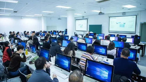 大連東軟信息學院計算機科學與技術專業入選國家一流本科專業建設點，技術服務能力獲得國家認可