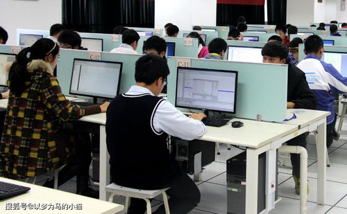 計(jì)算機(jī)技術(shù)開發(fā) 理科男生的黃金賽道，就業(yè)率高前景廣闊